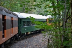 Mt. Rainier train ride event